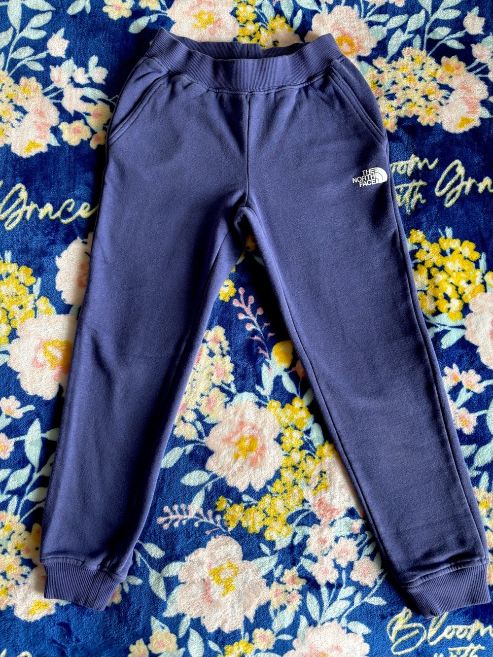 The North Face Kids Cove Blue/Purple  Jogger Sweatpants | Size: Girls 7/8